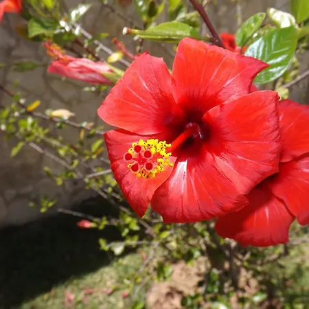 Villa Claramar *